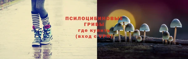тгк Ладушкин