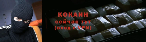 тгк Ладушкин