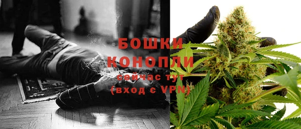 тгк Ладушкин